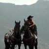 Vintage Kunstleder Cowboyhut Retro Breiter Rand Sonnenhut Western Cowboyhut Für Männer Frauen Unisex