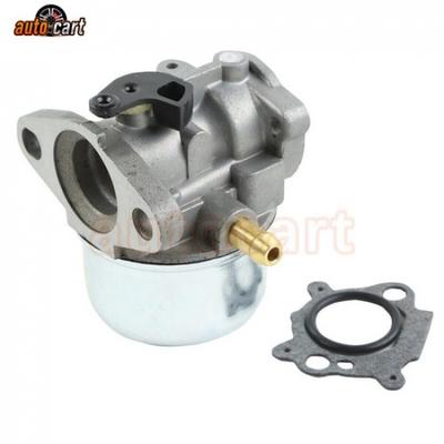 Carburetor For  498170 497586 799868 497347 799872 790821 Carb US