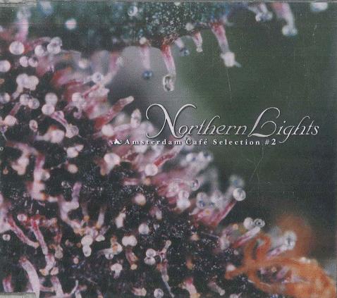 

CD VARIOUS Amsterdam Cafe Selection 2 Norther RRCM19002 MOSTIKO 2001 Japan Rock Used
