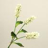 Artificial Flower Home Living Room DecorationArtificial Flower Props Table OrnamentsFlower Props
