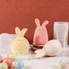 Cute Easter Bunny Silicone Mold Non-Stick Rabbit Candle Mold 3D Rabbit Mold  Home Room Decorations