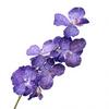 9 Heads Vanda Orchids Artificial Flowers Faux Silk Flowers for Wedding Home Decor Photography Props