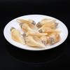 5Pcs Drilled Conch Pendant Artificial Drilling Shell With Diamond Yellow String Snail Pendant For Jewelry Making DIY Necklace Bracelet Accessory