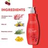 Jovees Herbal Himalayan Cherry Body Lotion 300ml Pack of 1 for Deep Hydration Smooth Radiant Skin Anti-Aging Moisturizer