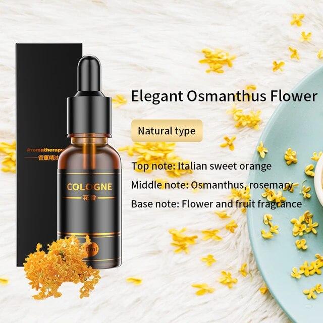 Ηλιακό Αρωματικό Αυτοκινήτου Περιστρεφόμενος Διαχύτης Αρώματος με Πινακίδα Αριθμού Τηλεφώνου Στάθμευσης Αξεσουάρ Εσωτερικού Αυτοκινήτου Διάχυση Αιθέριων Ελαίων