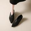 Fashion Suede Pointed Toe Women Shoes Mid Heels Fashion Shoes Woman 2025 Trend Autumn Brand Designer Dress Elegant Sexy Female Zapatos
