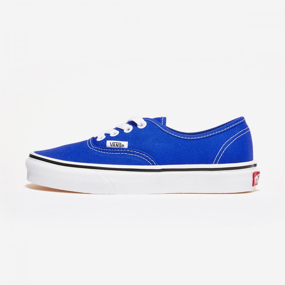 

Barnes Authentic Color Tiery Darjeeling Blue VN0A5KS96RE ТЕОРИЯ ЦВЕТА DAZZLING BLUE