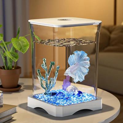 Kompaktes Zierfischbecken für Zuhause oder Büro - Ideal für kleine Goldfische und Desktop-Landschaftsgestaltung.