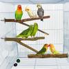 4pcs Birds Perches Stand Platform Parrot Natural Standing Wood Perch Sticks
