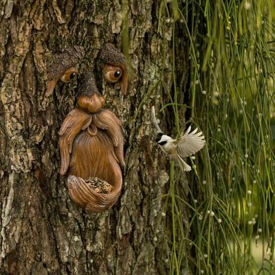 Tree Faces Garden Decor –Tree Hugger Bird Feeder– Yard Art– Gift For Dad- Tree Decorations Outdoor- Garden Sculpture- Magical Face For Tree