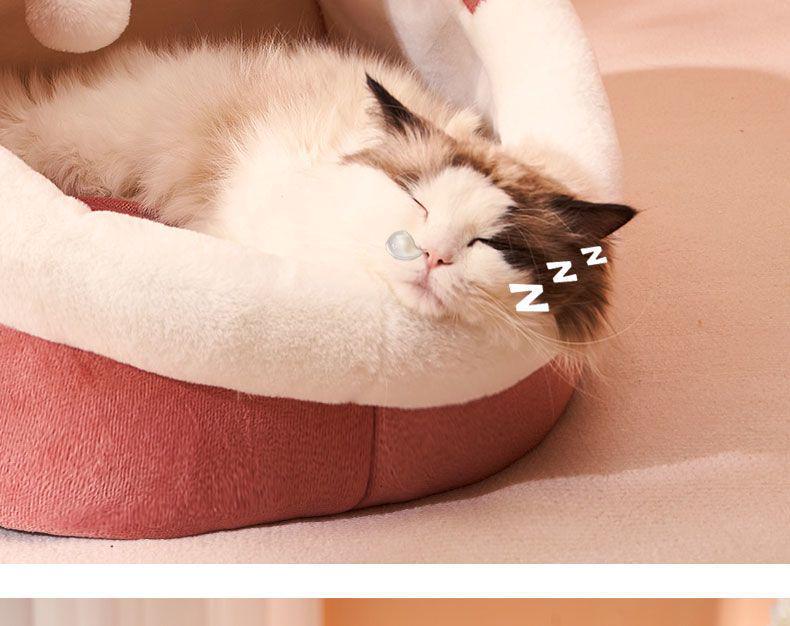All-Season Cat & Dog Bed: Cozy Enclosed Pet House & Sleeping Mat