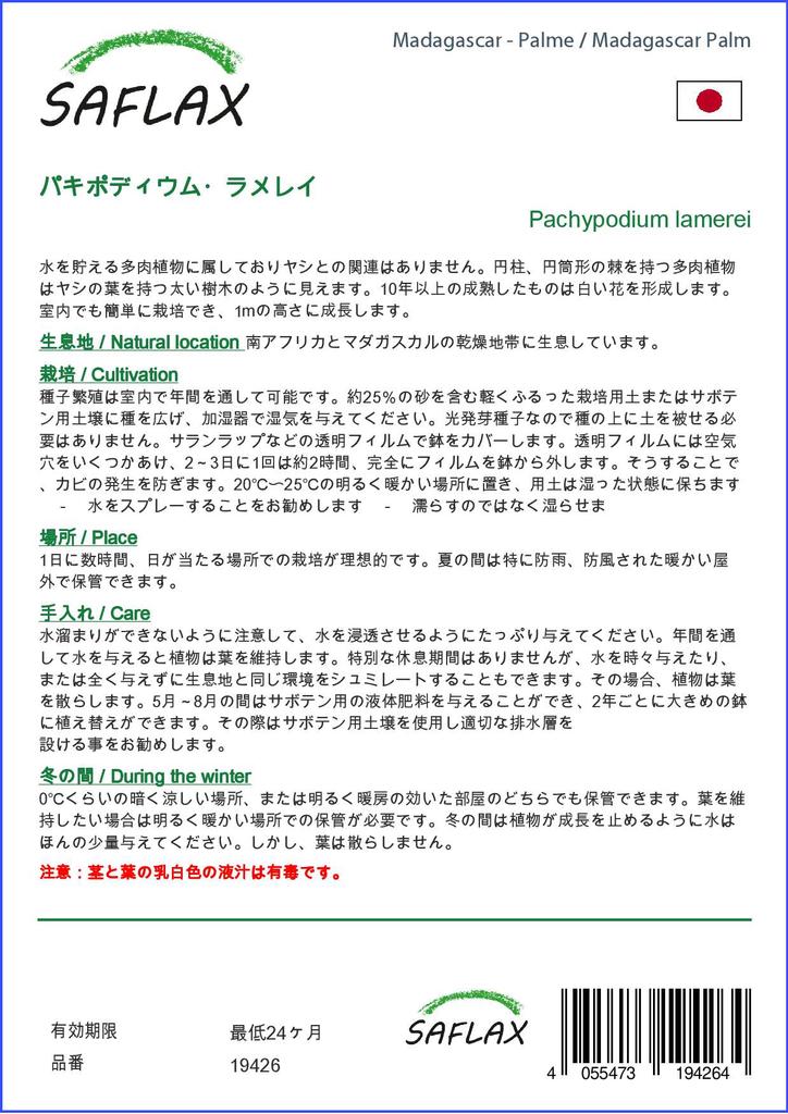 SAFLAX Garden In the Bag - Madagascar Palm - 10 Seeds - With Substrate In a Fitting Stand Up Bag - Pachypodium Lamerei