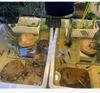 Turtle Tank with Drainage Hole - Transparent Breeding & Storage Box, Small/Large Size for Home Use