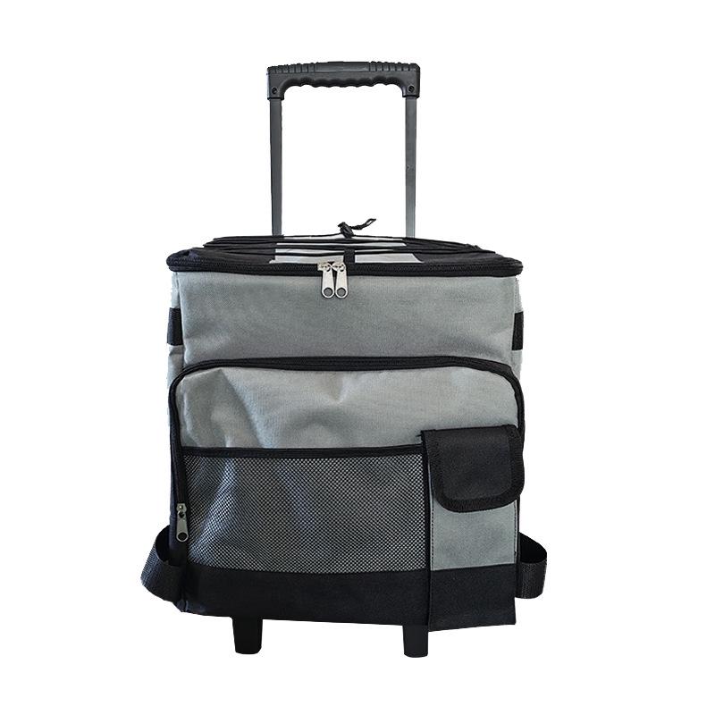 Portable Multi-Functional Travel Trolley Case with Insulated Cooler Bag