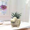 Easy To Use Flower Pots Mould Cow Shaped Planter Silicone Mold Personalized Succulent Vases Jewelry Crafting Mould
