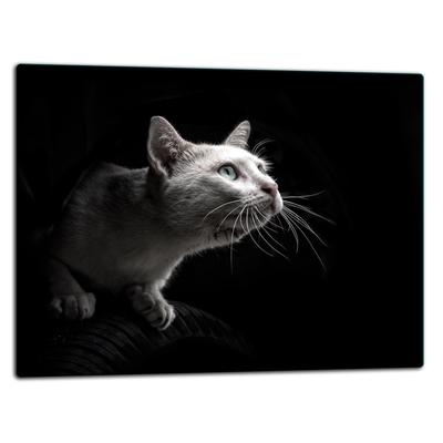 GLASS CUTTING BOARD 52x40 CAT