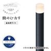 Takasho Garden Light Hikari Innovation Interval Light Additional Light 1pc Black Outdoor Indirect Lighting Waterproof Bright Light Professional Grade