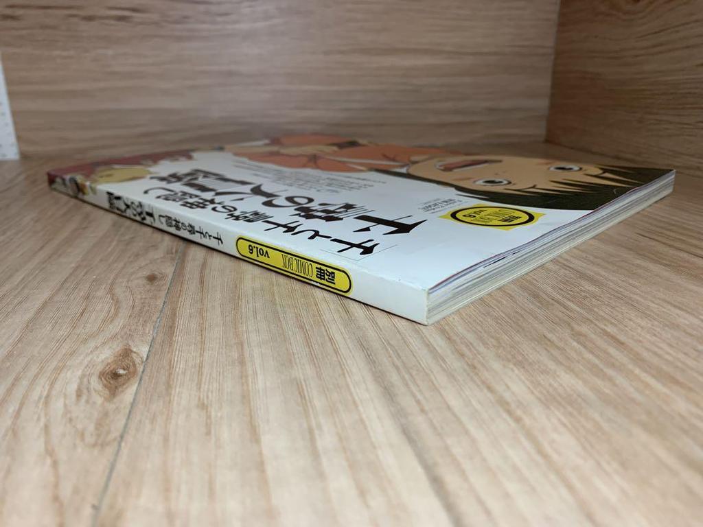 [USED] Free Shipping Spirited Away Spirited Away Bessatsu COMIC BOX Vol.6