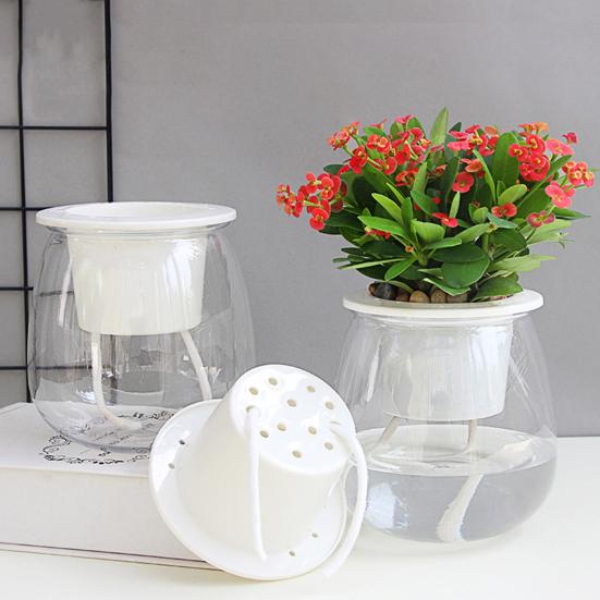 Self Watering Plant Pot Flower Pot with Transparent Reservoir Clear Self Watering Planter for Indoor Plants Flowers African Violets