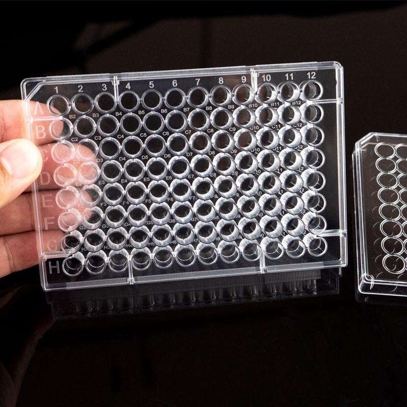 Haisidike HKCL-347 96-Well Flat-Bottom Cell Culture Plate