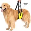 Senior Dog Support Harness for Rehabilitation: Chest Strap & Limb Assistance