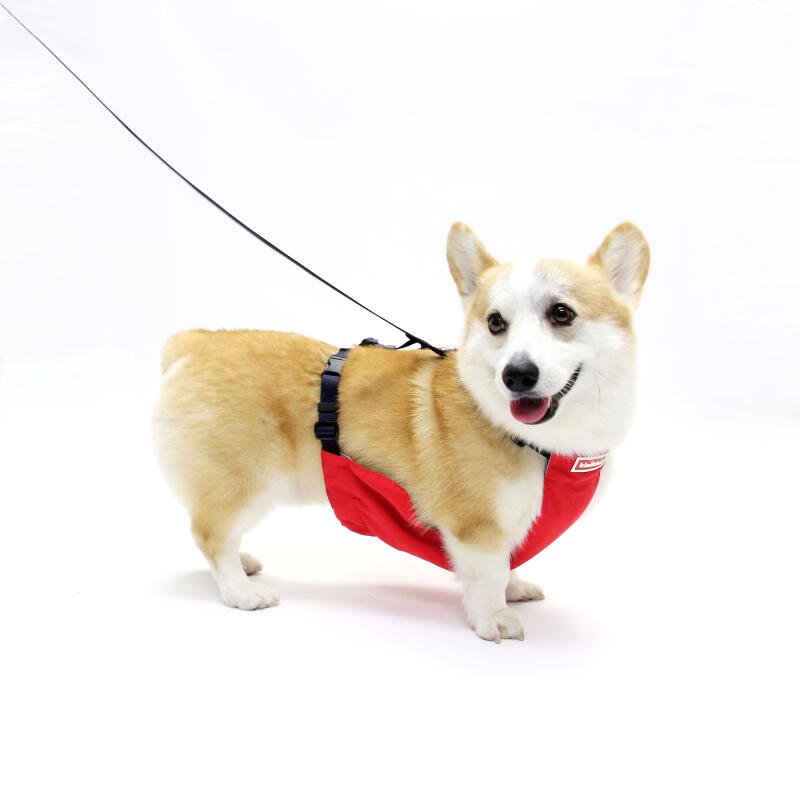 

SIGNATURE LOGO SUPPLEX COVER-RED (Supplex Cover + Lead Set) Supplex cover + leash set