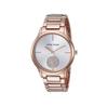 Часы Anne Klein AK-3416SVRG