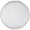 ZISIZ Elegant Glass Snack & Dinner Plate