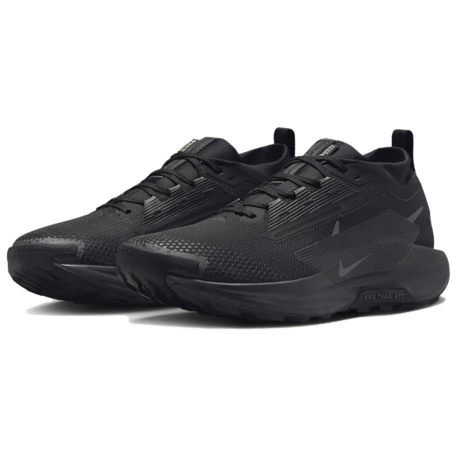 Nike Pegasus Trail 5 GORE-TEX 'Svart Antracit' (Unisex) Svarta / Antracit / Svarta Löparskor FQ0908 002