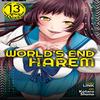 Worlds End Harem Vol. 13 After World by Link Paperback Book 9781638583097