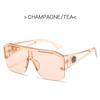 Luxury Brand Oversized Sunglasses For Men Women Designer Sun Glasses Fashion Gradient Square Shades Eyeglasses Outdoor Shades