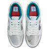 Nike Dunk Low 'Ice' Damskie Buty Skate Trampki DO2326-001