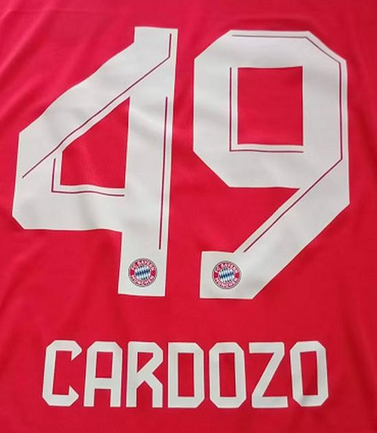 Bayern Home Jersey #49 Cardozo Heat Transfer Sticker Set