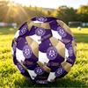 Personalized Size 5 Football Austria Wien FC Pattern Outdoor Game Sports Ball Gift