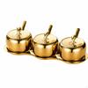 Stainless Steel Seasoning Container Set with Tray DustResistant ThreeCompartment Condiment Holder