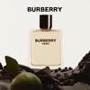 Burberry Hero Men's Fragrance Collection