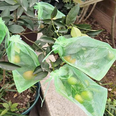 20Pcs Mesh Fruit Bag Strawberry Grapes Fruit Grow Bags Breathable Netting Mesh Vegetable Plant Protection Bags For Garden Tools