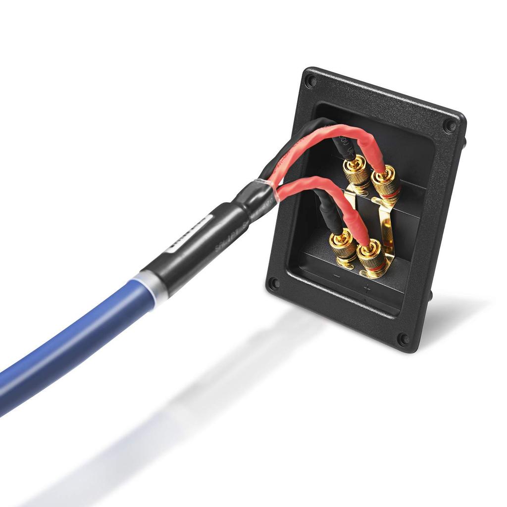 WYVERN AUDIO Speaker Cable Bi-Wire WA-12