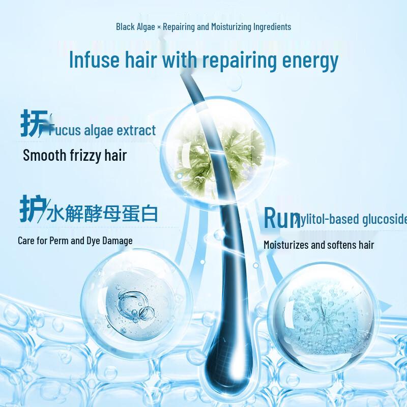 b2v Black Algae Smooth & Repair Shampoo