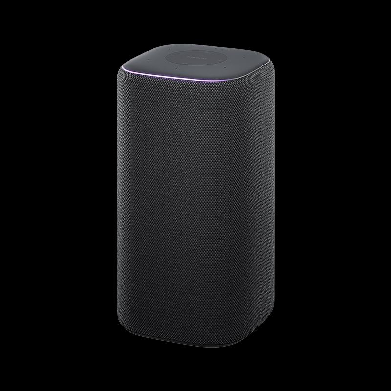 Xiaomi Smart Speaker Pro