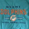 WEGONFL Miami Dolphins T-shirt M