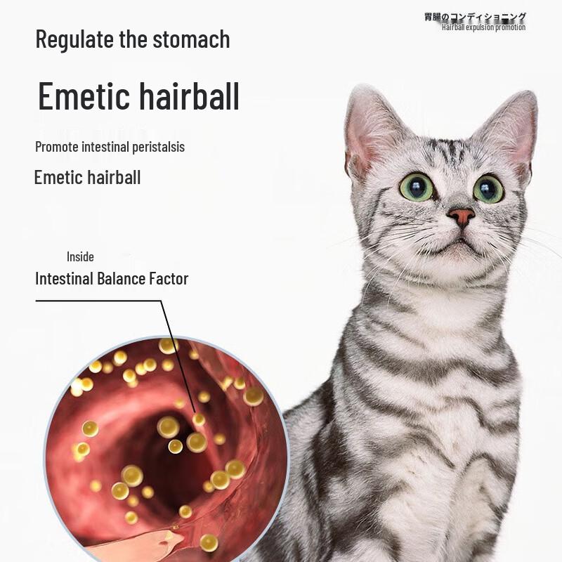 Catnip & Matatabi Ball Cat Toy with Bell Teething Stick