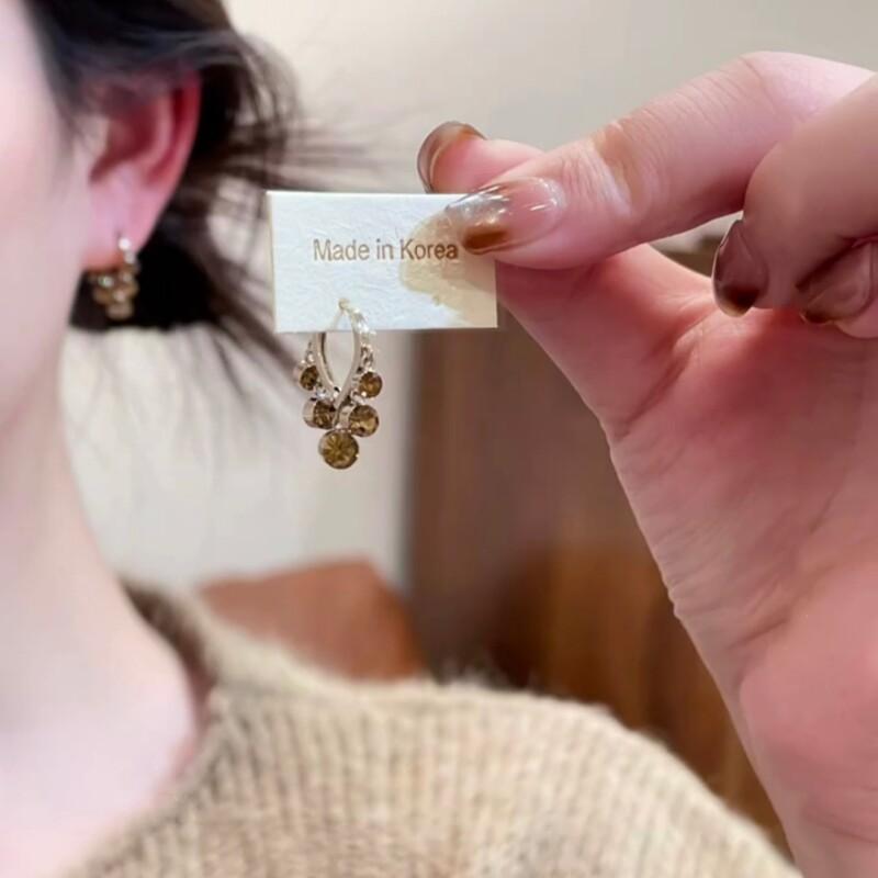 Maillard zircon pendant ear buckle women s 2026 new popular high-end earrings autumn and winter earrings