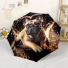 Wolf Family Moonlit Night Automatic Umbrella Compact 8 Rib Lightweight Foldable Design Durable Everyday Carry Umbrella Fashion Lovers