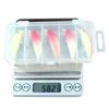 5PCSLuminous Minnow Set5g /6.5g /8g Sinking artificial bait for sea fishing of mackerel and bass