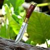 Stainless Steel Boning Knife Fruit Vegetable Slicer Cooking Tool with Cover