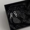 Silver Needle Niche Daily Small Metal Chain Earrings Women's Versatile Temperament Earrings Earrings