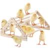 Chicken Perch Jungle Gym Roosting Bar, Pine Wood, Large