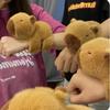 1PC Capybara Hughug Circle Toys Slap Snap Wrap Wristband Bracelet Capybara Plush Hand Ring Fun Pop Circles Kids Christmas Gift