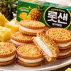 Lotte Pineapple Filled Biscuits 105g